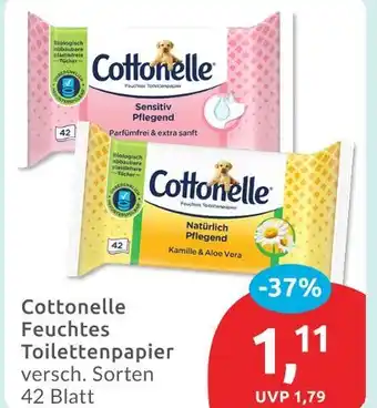 Budni Cottonelle sensitiv pflegend Angebot
