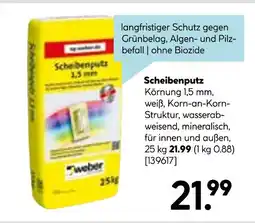 Hellweg Weber scheibenputz Angebot
