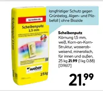 Hellweg Weber scheibenputz Angebot