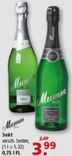 Multi Markt Mumm Sekt Angebot