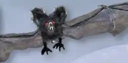Stolz Fledermaus Angebot