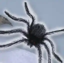 Stolz Deko-Spinne Angebot