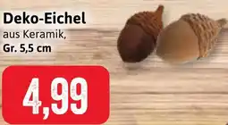 Stolz Deko-Eichel Angebot