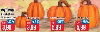 Stolz Deko-Kürbisse Angebot