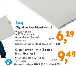 Globus Baumarkt KNAUF Gipskarton Miniboard imprägniert Angebot