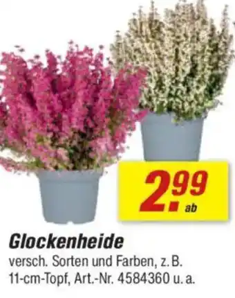 toom Baumarkt Glockenheide Angebot