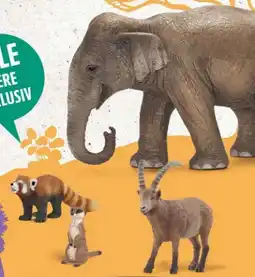 trinkgut Schleich Tierischer Sammelspaß Angebot