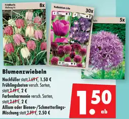 Mäc Geiz Blumenzwiebeln Angebot