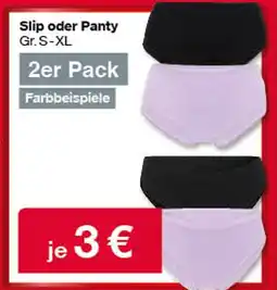 Woolworth Slip oder panty Angebot