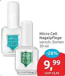 Budni Micro Cell Nagelpflege Angebot