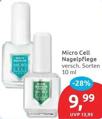 Budni Micro Cell Nagelpflege Angebot