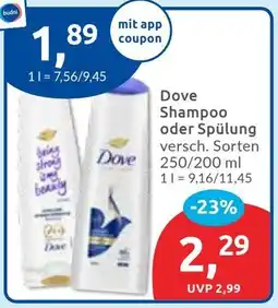 Budni Dove Shampoo oder Spülung Angebot