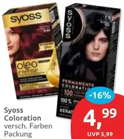 Budni Syoss Coloration Angebot