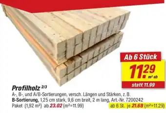 toom Baumarkt Profilholz Angebot