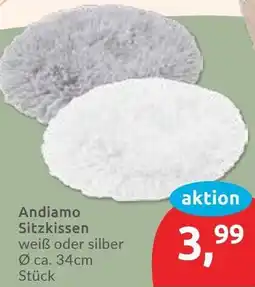 Budni Andiamo Sitzkissen Angebot