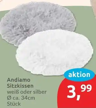 Budni Andiamo Sitzkissen Angebot