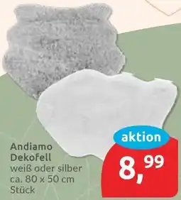 Budni Andiamo Dekofell Angebot