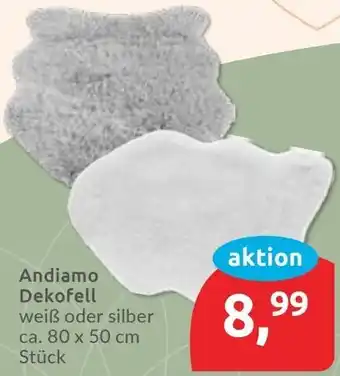 Budni Andiamo Dekofell Angebot