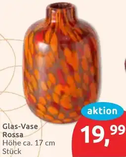 Budni Glas-Vase Rossa Angebot
