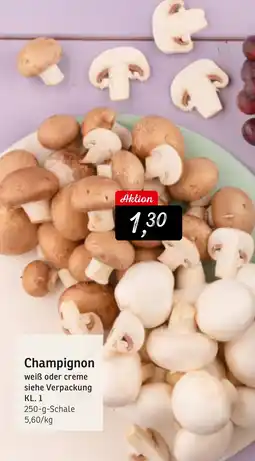 KONSUM Champignon Angebot