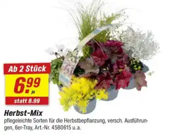 toom Baumarkt Herbst-Mix Angebot