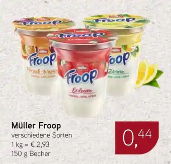 Dornseifer Müller Froop Angebot