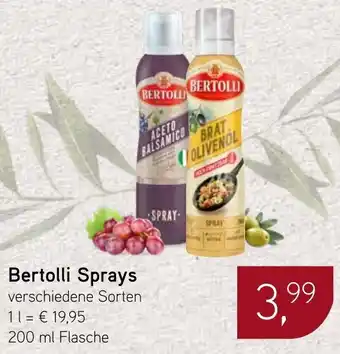 Dornseifer Bertolli Sprays Angebot