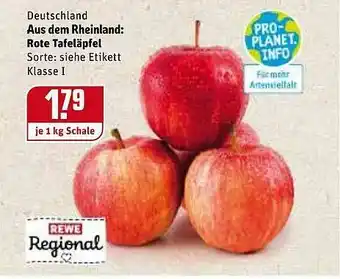 REWE Deutschland Aus Dem Rheinland: Rote Tafeläpfel Angebot