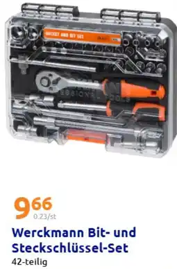 Action Werckmann Bit- und Steckschlüssel-Set Angebot