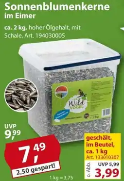 Sonderpreis Baumarkt Sonnenblumenkerne im Eimer Angebot