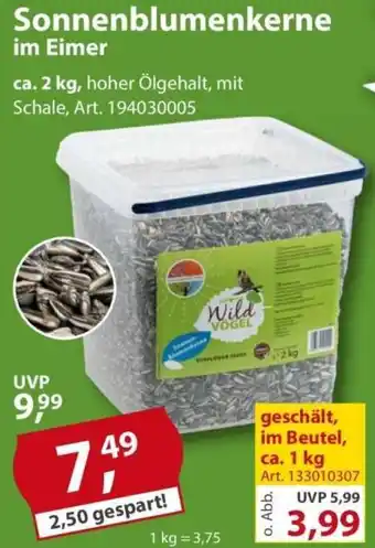Sonderpreis Baumarkt Sonnenblumenkerne im Eimer Angebot
