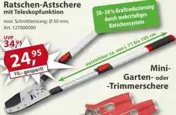 Sonderpreis Baumarkt Ratschen-Astschere mit Teleskopfunktion Angebot