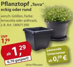 Sonderpreis Baumarkt Pflanztopf „Terra" eckig oder rund Angebot