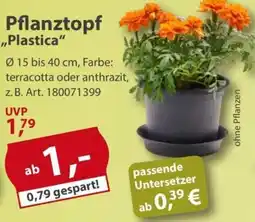 Sonderpreis Baumarkt Pflanztopf ,,Plastica" Angebot