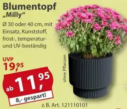 Sonderpreis Baumarkt Blumentopf ,,Milly" Angebot