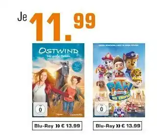 Saturn Ostwind oder paw patrol – der kinofilm Angebot