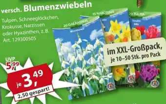 Sonderpreis Baumarkt versch. Blumenzwiebeln Angebot