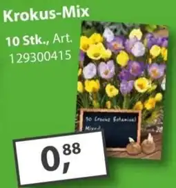 Sonderpreis Baumarkt Krokus-Mix Angebot