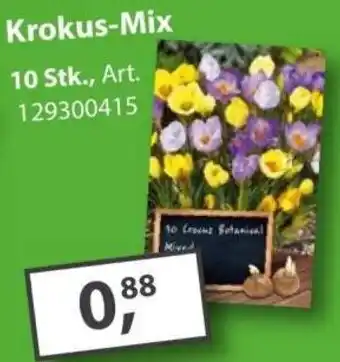 Sonderpreis Baumarkt Krokus-Mix Angebot