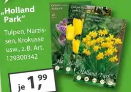 Sonderpreis Baumarkt Holland Park Angebot