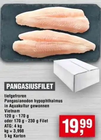 Handelshof Pangasiusfilet Angebot