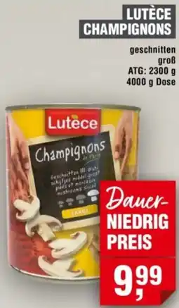 Handelshof Lutèce champignons Angebot