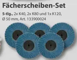 Sonderpreis Baumarkt Fächerscheiben-Set Angebot