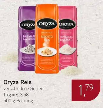 Dornseifer Oryza Reis Angebot