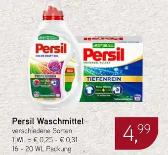 Dornseifer Persil Waschmittel Angebot