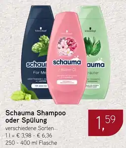 Dornseifer Schauma Shampoo oder Spülung Angebot