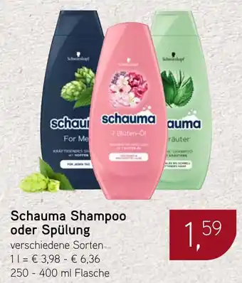Dornseifer Schauma Shampoo oder Spülung Angebot