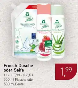 Dornseifer Frosch Dusche oder Seife Angebot