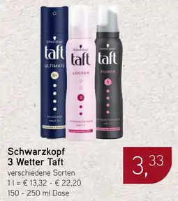 Dornseifer Schwarzkopf 3 Wetter Taft Angebot