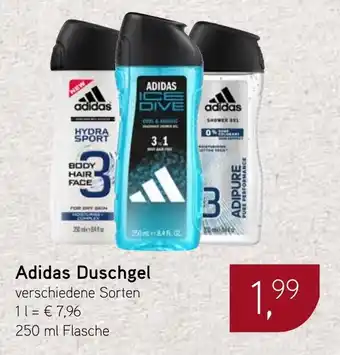 Dornseifer Adidas Duschgel Angebot